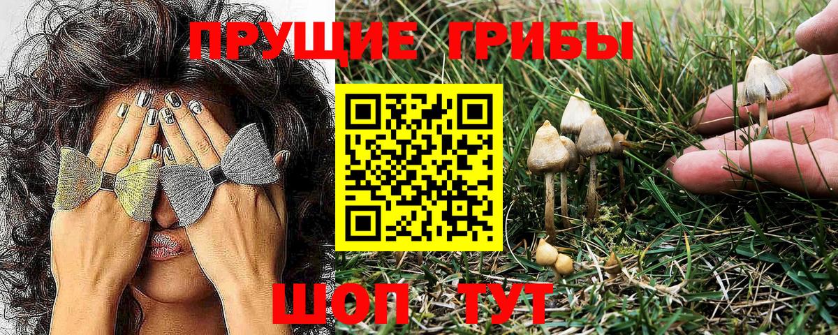 закладки  Вход с VPN  Мичуринск  Галлюциногенные грибы GOLDEN TEACHER 